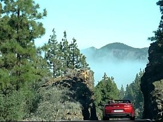 Candie and Alex around the world #5.2 Tenerife